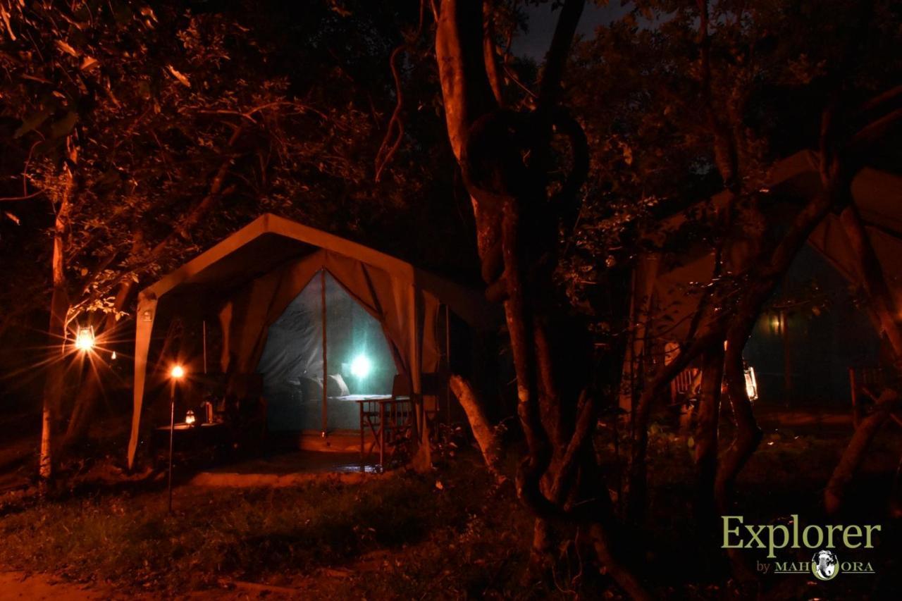 Explorer By Eco Team - Wasgamuwa National Park Exteriér fotografie