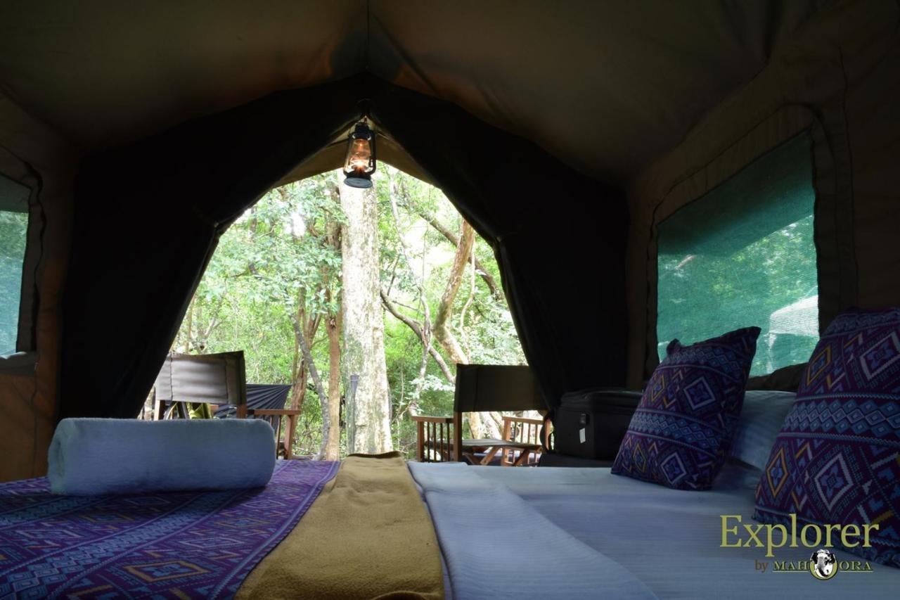 Explorer By Eco Team - Wasgamuwa National Park Exteriér fotografie